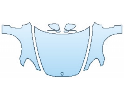 PRECUT PPF CLEAR BRA WRAP