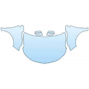 PRECUT PPF CLEAR BRA WRAP
