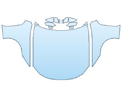 2018 LEXUS LC 500 FULL HOOD FENDERS MIRRORS PRECUT PPF CLEAR BRA WRAP