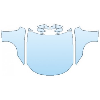 PRECUT PPF CLEAR BRA WRAP