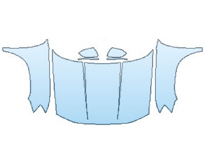 PRECUT PPF CLEAR BRA WRAP