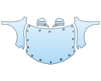 PRECUT PPF CLEAR BRA WRAP