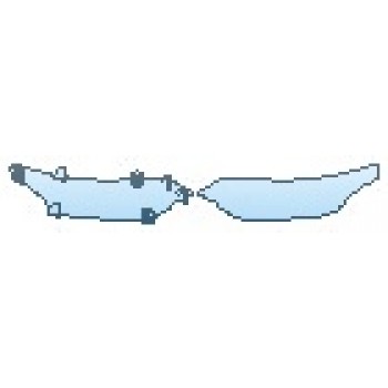 PRECUT PPF CLEAR BRA WRAP