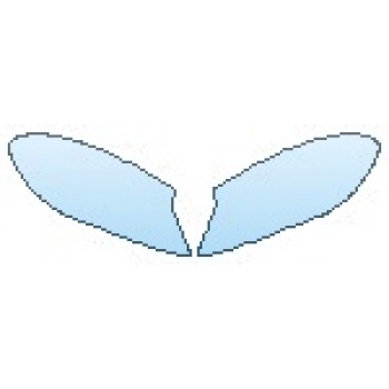 PRECUT PPF CLEAR BRA WRAP