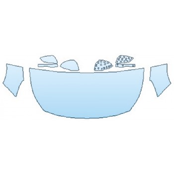 PRECUT PPF CLEAR BRA WRAP