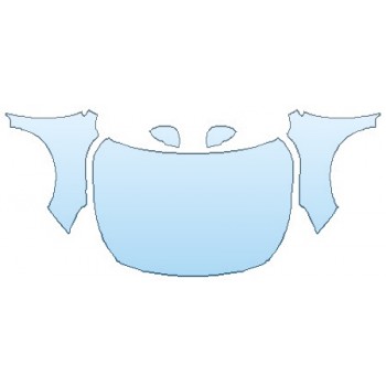 PRECUT PPF CLEAR BRA WRAP