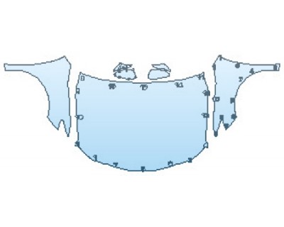 PRECUT PPF CLEAR BRA WRAP