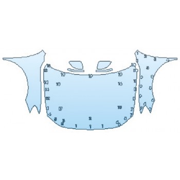 PRECUT PPF CLEAR BRA WRAP