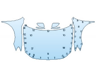 PRECUT PPF CLEAR BRA WRAP