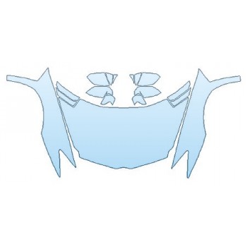 Precut PPF Kit – Clear Bra Paint Protection Film PAINT PROTECTION KIT - 2017 LAMBORGHINI AVENTADOR LP750-4 SV COUPE FULL HOOD FENDERS MIRRORS - PRECUT PPF CLEAR BRA WRAP