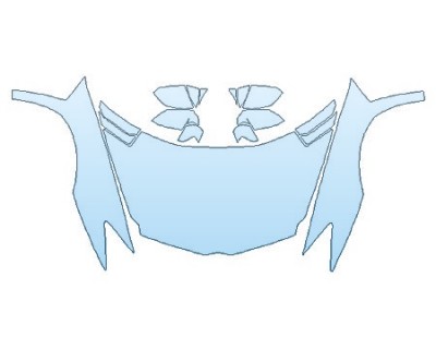 Precut PPF Kit – Clear Bra Paint Protection Film PAINT PROTECTION KIT - 2017 LAMBORGHINI AVENTADOR LP750-4 SV COUPE FULL HOOD FENDERS MIRRORS - PRECUT PPF CLEAR BRA WRAP