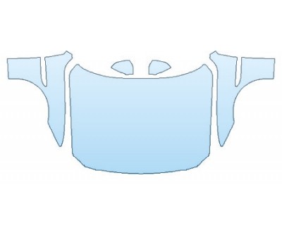 PRECUT PPF CLEAR BRA WRAP