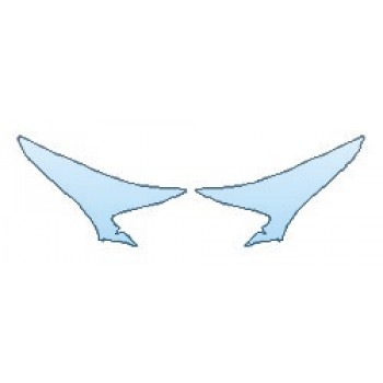 PRECUT PPF CLEAR BRA WRAP