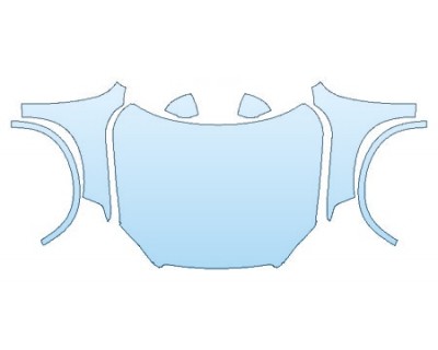PRECUT PPF CLEAR BRA WRAP