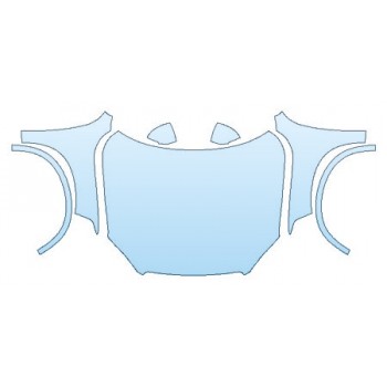 PRECUT PPF CLEAR BRA WRAP