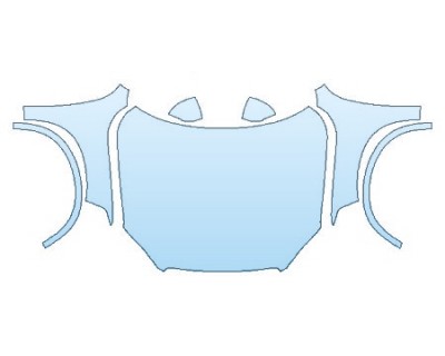 PRECUT PPF CLEAR BRA WRAP