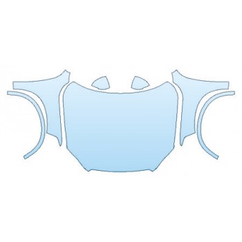 PRECUT PPF CLEAR BRA WRAP