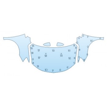 PRECUT PPF CLEAR BRA WRAP