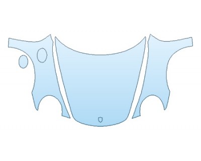 PRECUT PPF CLEAR BRA WRAP