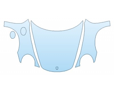 PRECUT PPF CLEAR BRA WRAP