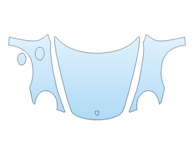 PRECUT PPF CLEAR BRA WRAP