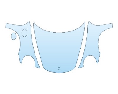 PRECUT PPF CLEAR BRA WRAP