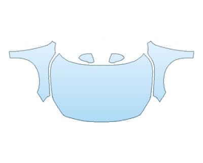 PRECUT PPF CLEAR BRA WRAP