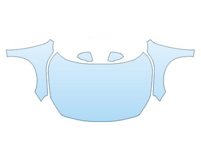 PRECUT PPF CLEAR BRA WRAP