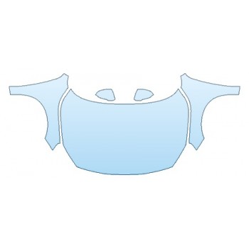 PRECUT PPF CLEAR BRA WRAP