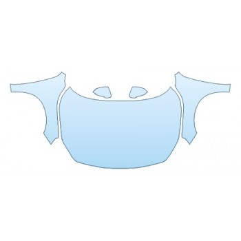 PRECUT PPF CLEAR BRA WRAP