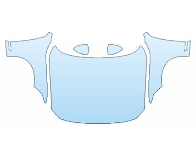 PRECUT PPF CLEAR BRA WRAP