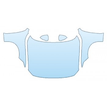 PRECUT PPF CLEAR BRA WRAP