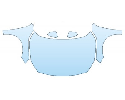 PRECUT PPF CLEAR BRA WRAP