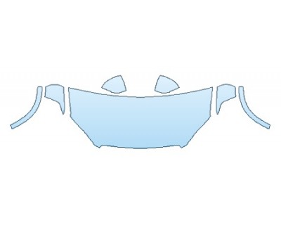 PRECUT PPF CLEAR BRA WRAP