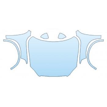 PRECUT PPF CLEAR BRA WRAP