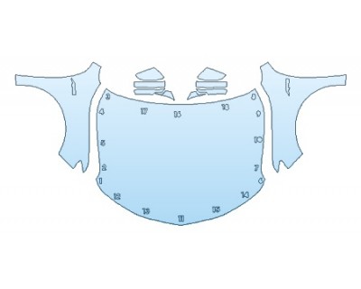 PRECUT PPF CLEAR BRA WRAP