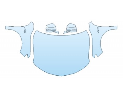 PRECUT PPF CLEAR BRA WRAP