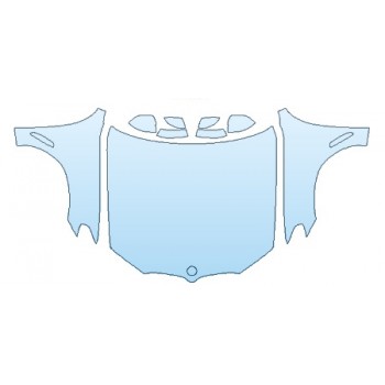 Precut PPF Kit – Clear Bra Paint Protection Film PAINT PROTECTION KIT - 2019 BMW X3 XDRIVE30I XLINE FULL HOOD(WRAPPED) FENDERS MIRRORS - PRECUT PPF CLEAR BRA WRAP