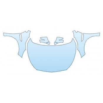 PRECUT PPF CLEAR BRA WRAP