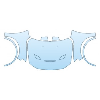 PRECUT PPF CLEAR BRA WRAP