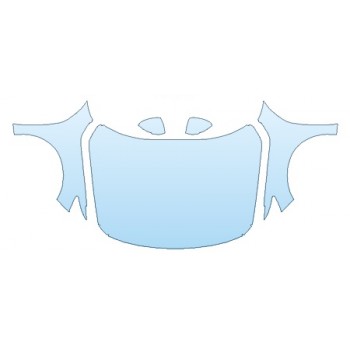 PRECUT PPF CLEAR BRA WRAP