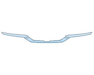 PRECUT PPF CLEAR BRA WRAP