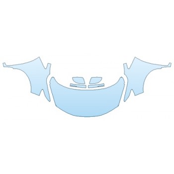 PRECUT PPF CLEAR BRA WRAP
