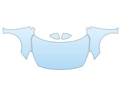 PRECUT PPF CLEAR BRA WRAP