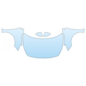 PRECUT PPF CLEAR BRA WRAP