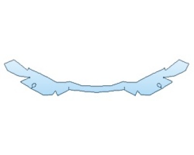 PRECUT PPF CLEAR BRA WRAP