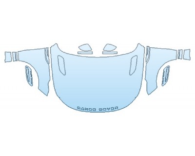 PRECUT PPF CLEAR BRA WRAP