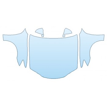 PRECUT PPF CLEAR BRA WRAP