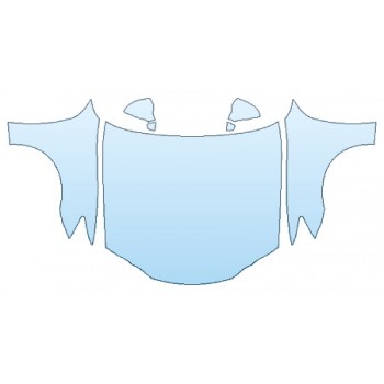 PRECUT PPF CLEAR BRA WRAP