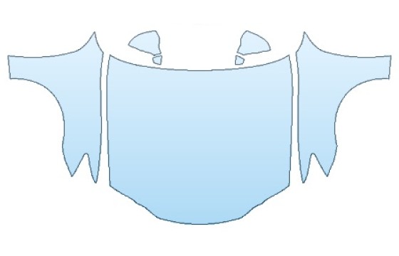 PRECUT PPF CLEAR BRA WRAP